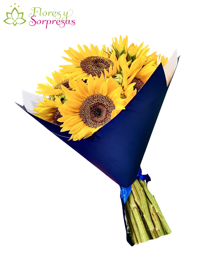 Ramo de Girasoles 10 Ud